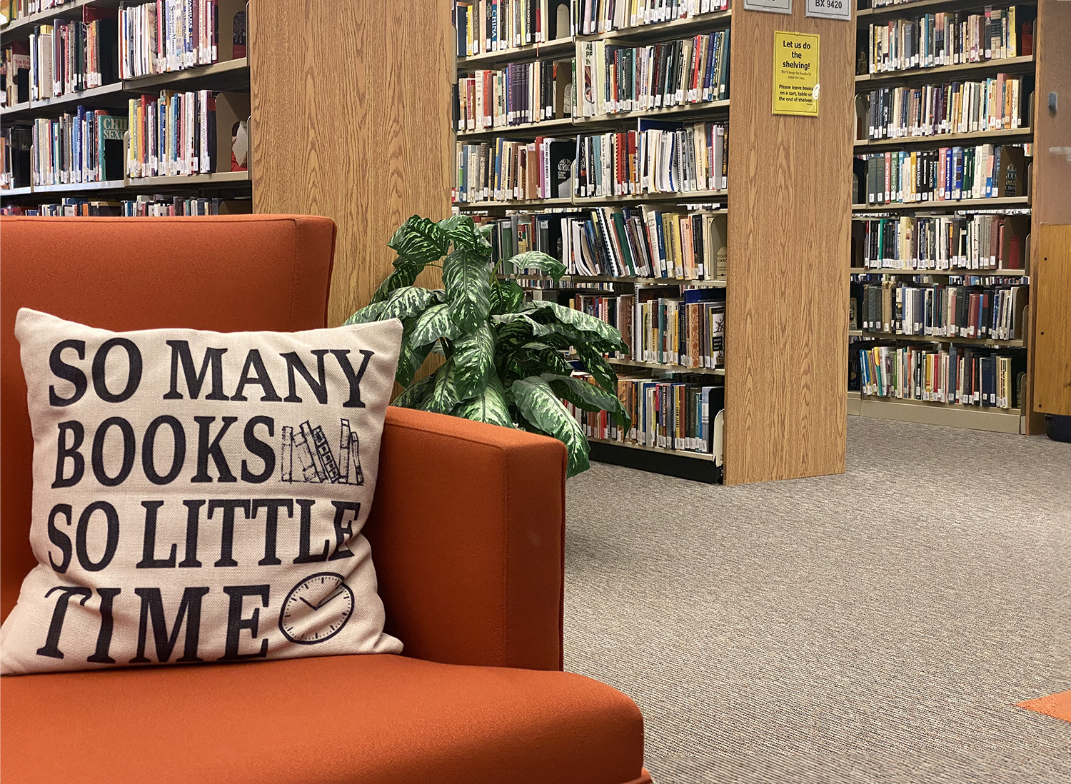 A cushion on a chair reads So many books, so little time.