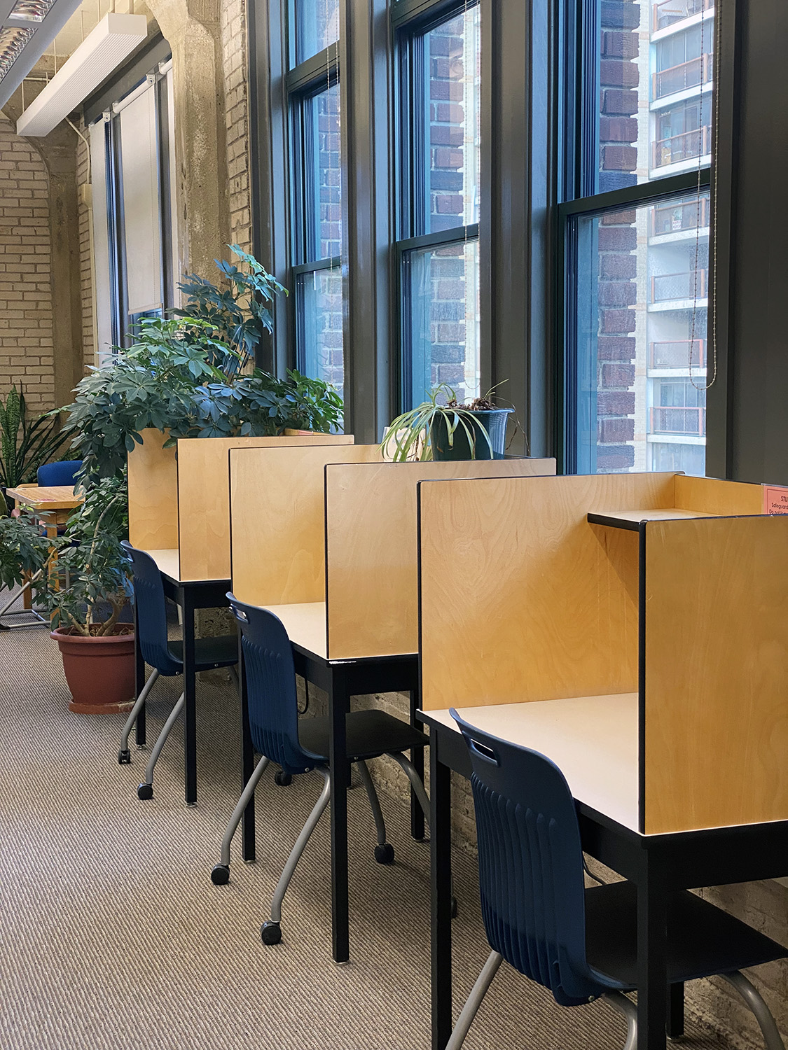 Individual study desks line a wall of windows.