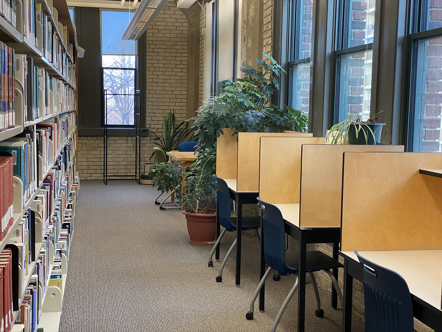 Individual study desks in the library.